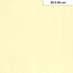 Papier à grain Etival Color 160 g/m² 50 x 65 cm - 82 Ivoire